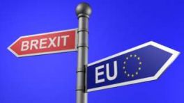 Brexit –  The QROPS Bureau’s views on the potential impact on pensions 